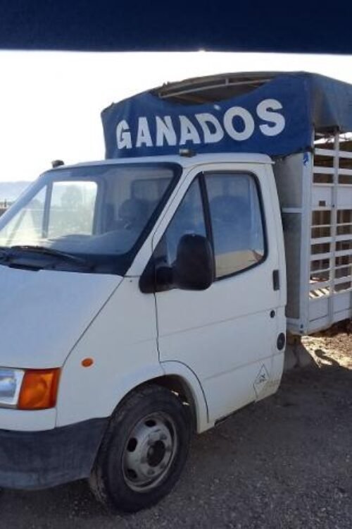 Ford Transit 2.5 TD 100 CV Caja Ganadera – 1999